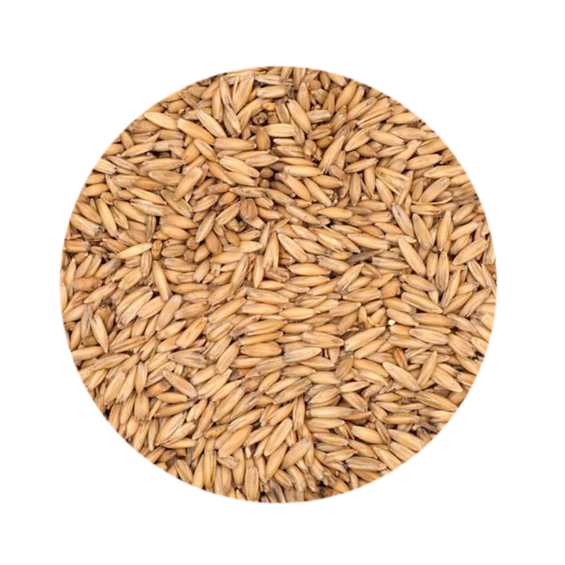 Oat Malt 1 lb   - Toronto Brewing