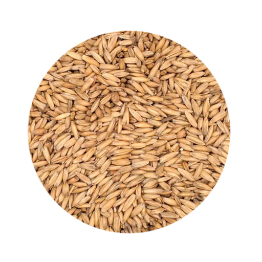 Oat Malt 1 lb   - Toronto Brewing