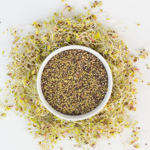Cultures for Health | Sweet Greens Sprouting Seed Blend    - Toronto Brewing